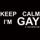 Tee shirt gay Keep calm I'M GAY