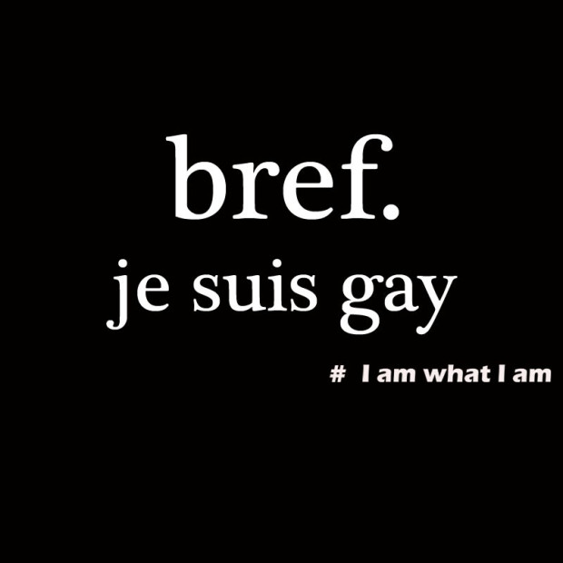 Tee Shirt Bref je suis gay
