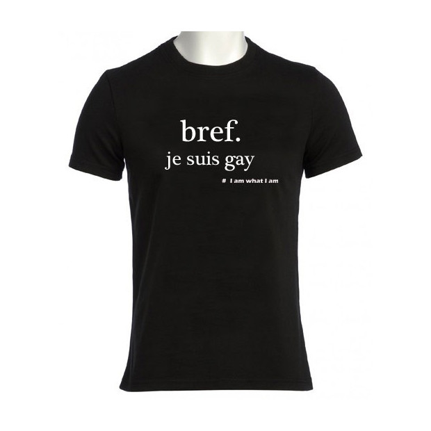 Tee Shirt Bref je suis gay
