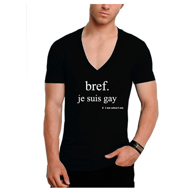 Tee Shirt Bref je suis gay